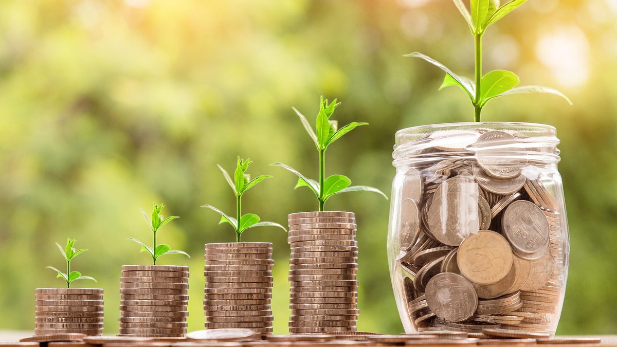Stacks of coins of increasing height, each with a small plant sprouting from the top, next to a jar full of coins with a plant growing out of it